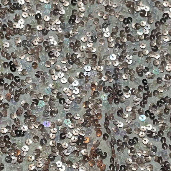 EXPRESS Sequins Tank (Size M) - Picture 2 of 6